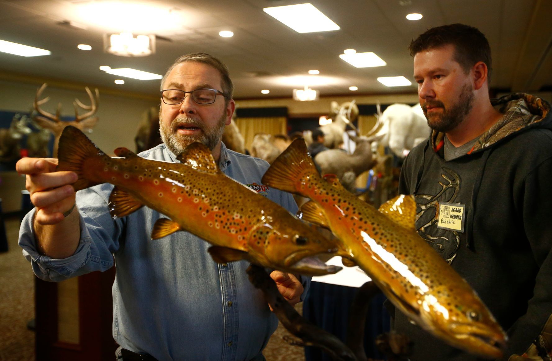 Montana Taxidermists Association Convention and competition